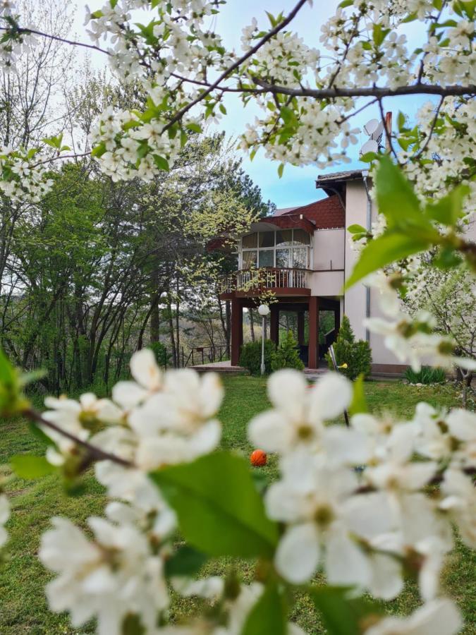 туристически дом кайлъка Hotel